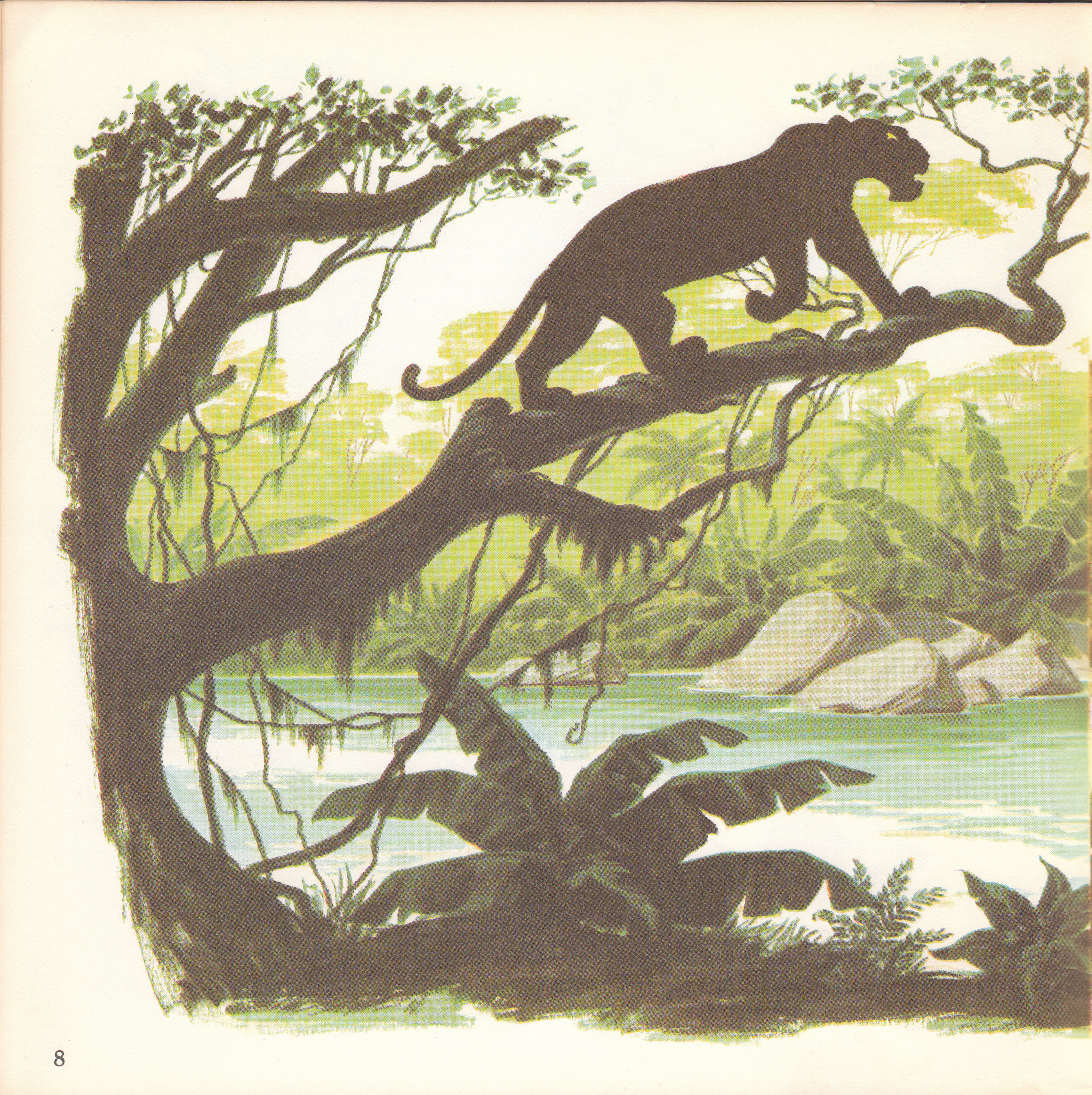 The Jungle Book (10),绘本,绘本故事,绘本阅读,故事书,童书,图画书,课外阅读